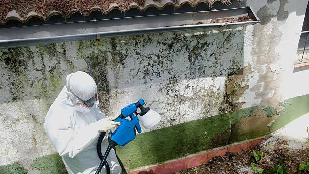 Top rated local Mold Inspection And Testing specialists in Portland, TN